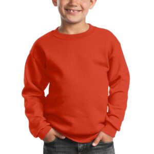 Port & Company - Youth Core Fleece Crewneck Sweatshirt. PC90Y